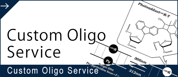 Custom Oligo Service